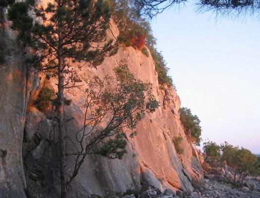 Cres - Lubenice (Babina)