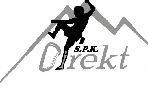 DIREKT logo24