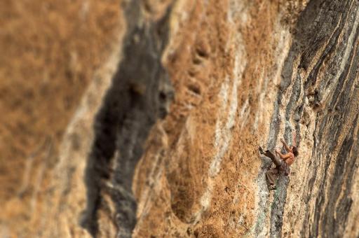 chris sharma oliana