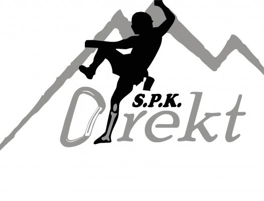 DIREKT logo24