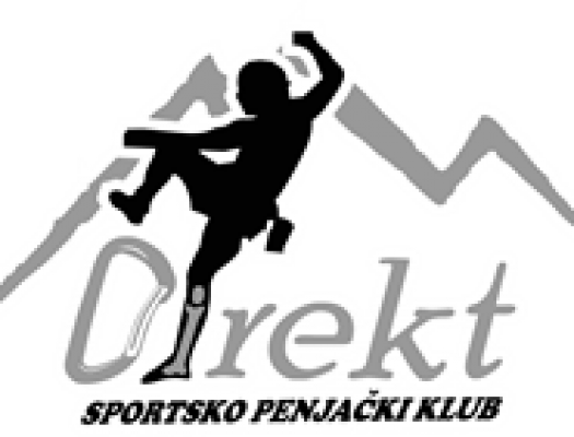 direkt logo2